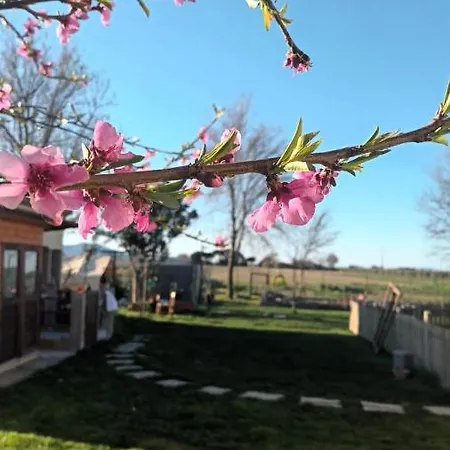 Podere 660 Il Giuggiolo