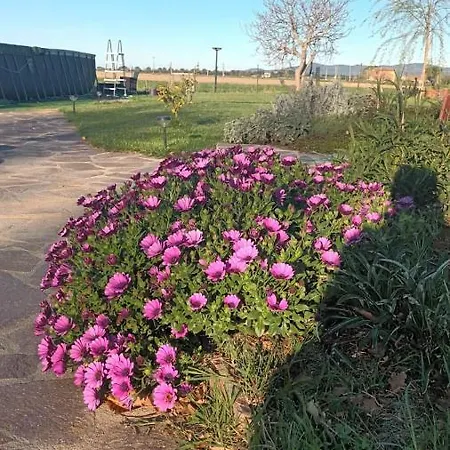 Daire Podere 660 Il Giuggiolo