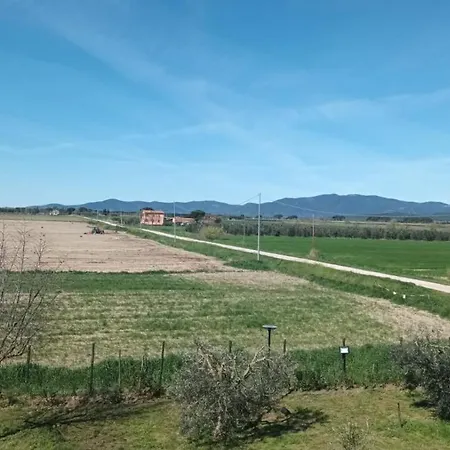 Daire Podere 660 Il Giuggiolo