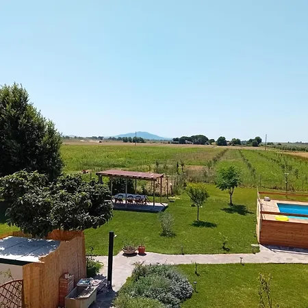 Daire Podere 660 Il Giuggiolo Marrucheto