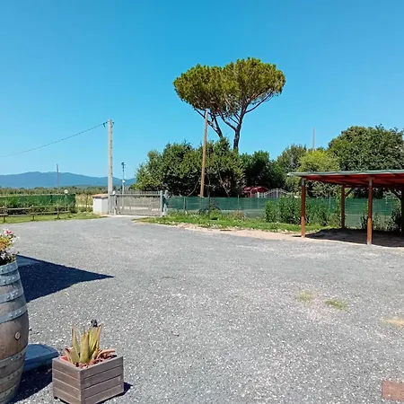 Podere 660 Il Giuggiolo *