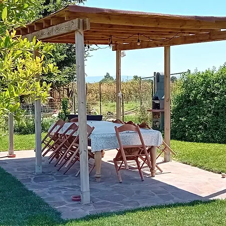 Podere 660 Il Giuggiolo Marrucheto