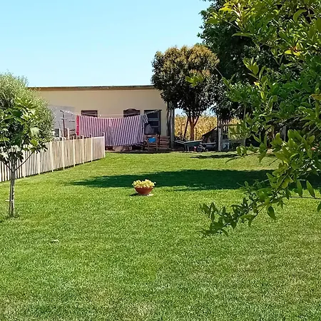 Podere 660 Il Giuggiolo Marrucheto