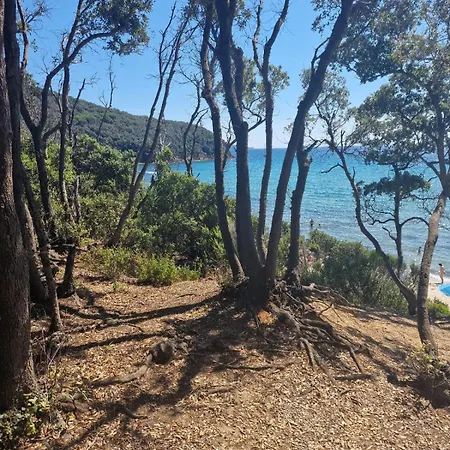 Podere 660 Il Giuggiolo Daire *