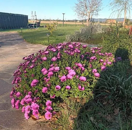 Apartman Podere 660 Il Giuggiolo