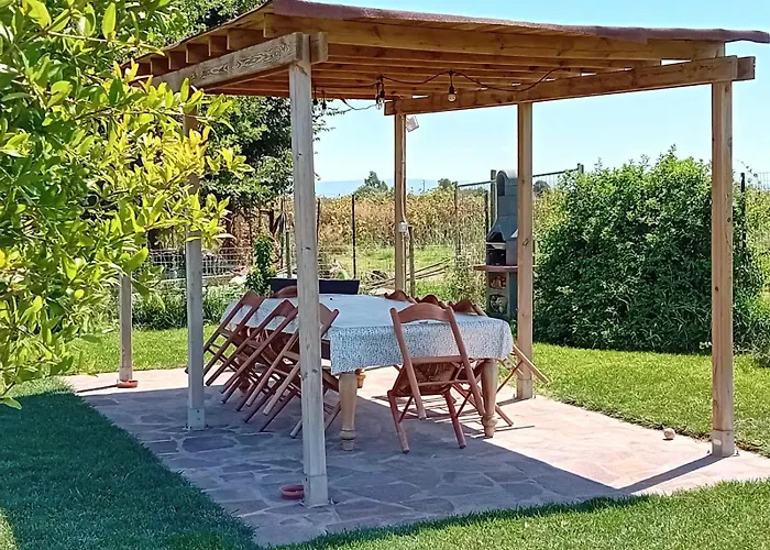 Podere 660 Il Giuggiolo Marrucheto