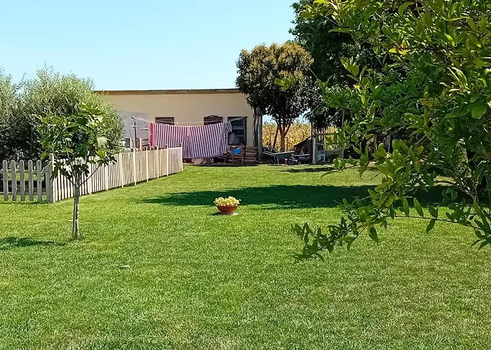 Podere 660 Il Giuggiolo Marrucheto