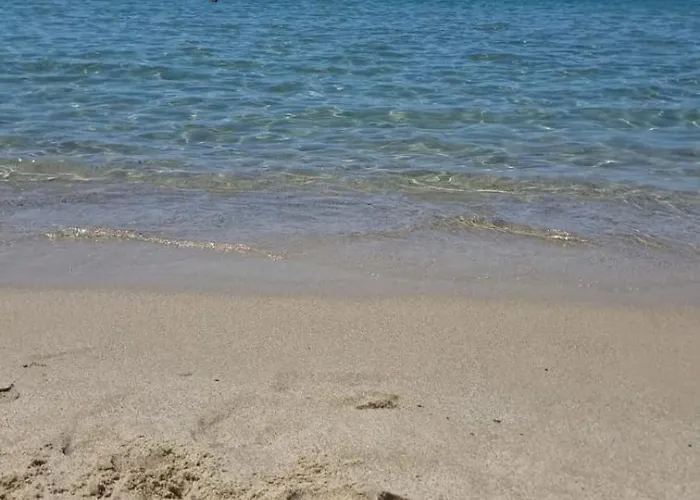 Podere 660 Il Giuggiolo * Marrucheto