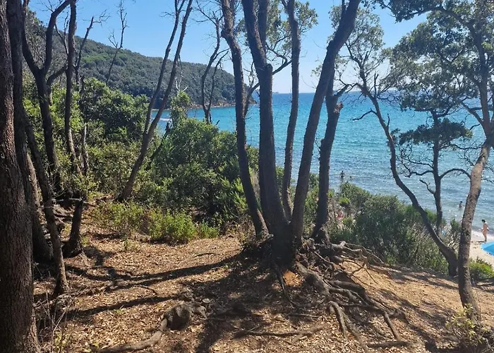 Podere 660 Il Giuggiolo Apartman *